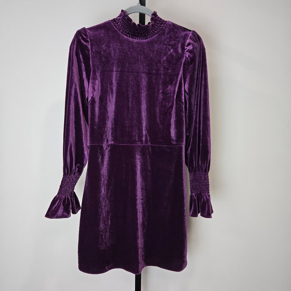Coast‎ Velvet Long Sleeve High Neck Mini Dress Purple Whimsygoth Holiday Small